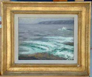 Gray Morning by Frank William Cuprien
