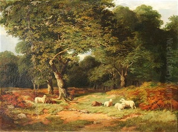 Sheep Resting On The Edge Of Leigh Woods - view 1