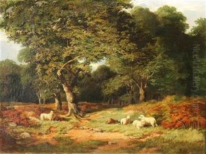 Sheep Resting On The Edge Of Leigh Woods by James Jackson Curnock