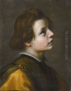 Head Of A Youth Head Of A Youth