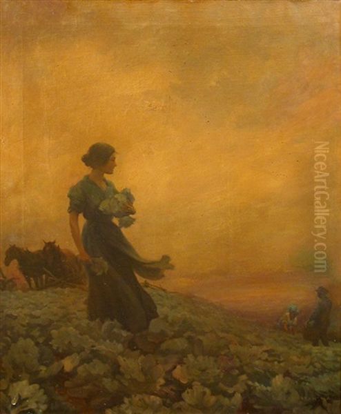 The Cabbage Field - view 1