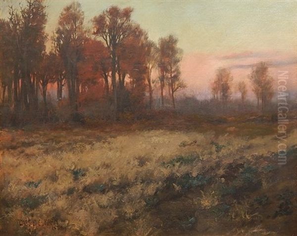 Landscape At Dusk - view 1