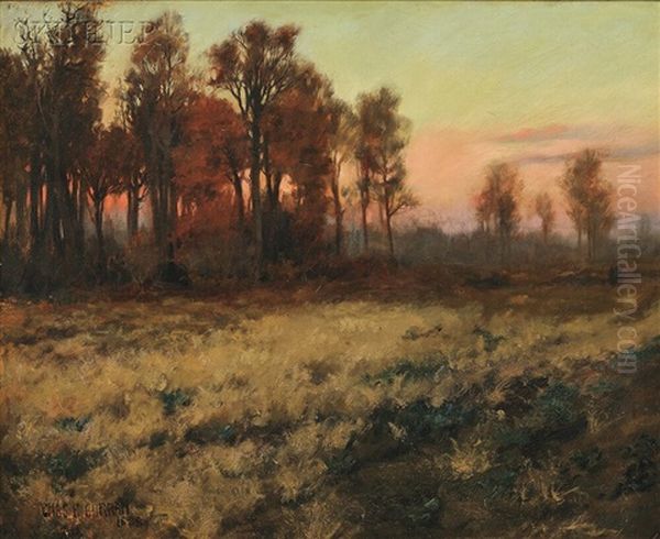 Autumn Landscape At Dusk - view 1