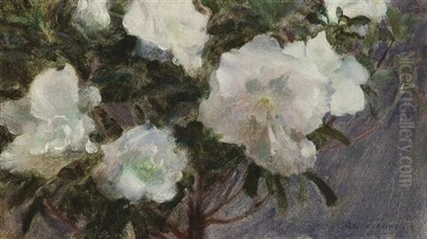 Floral Still Life - view 1