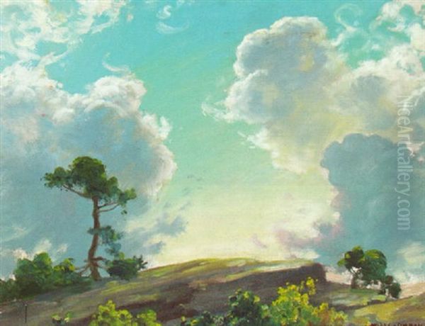 Mountain Top - view 1