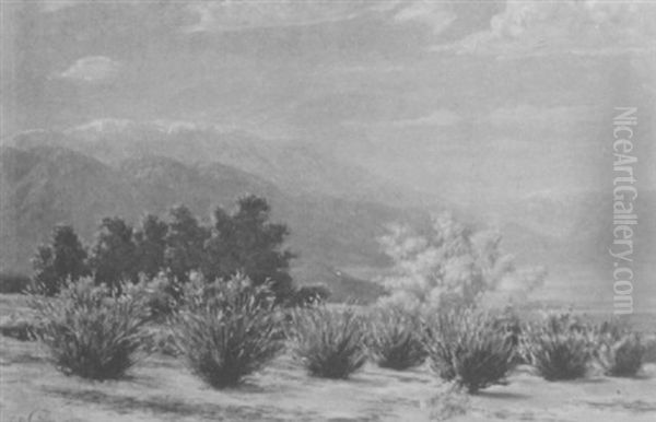 Desert Spring, Coachella Valley - view 1