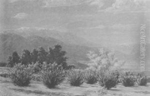 Desert Spring, Coachella Valley by Cyrus Bates Currier