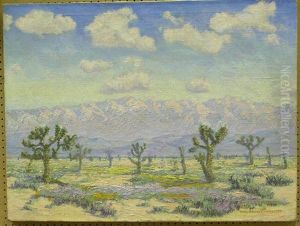 Springtime In Antelope Valley Desert