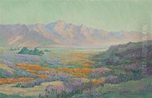 Wildflower Mesa