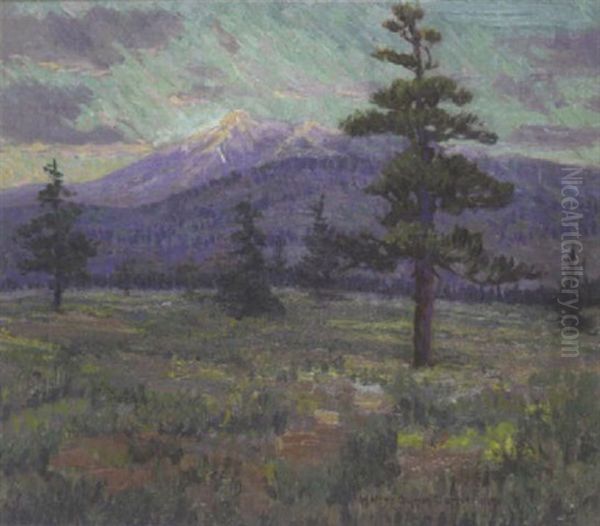 San Francisco Peaks, Arizona - view 1