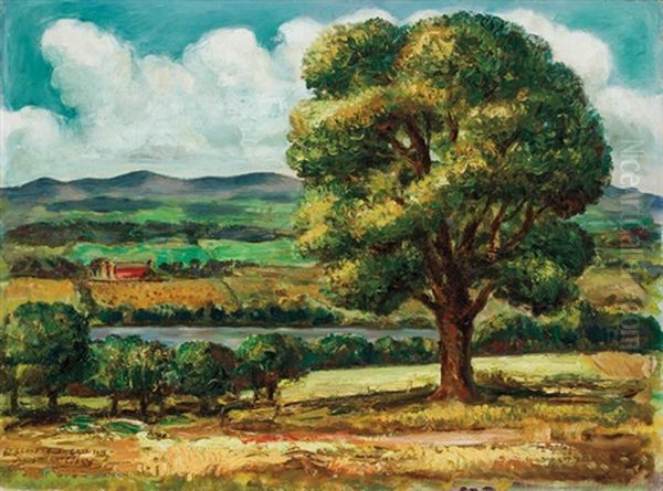 Country Landscape - view 1