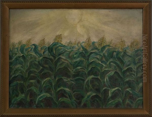 Cornfield - view 1