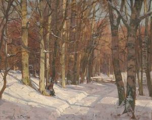 Waldweg Im Winter. Blick Auf Ein Verschneites Waldstuck