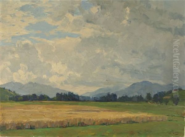 Sommerlandschaft Mit Blick Auf Die Alpen - view 1