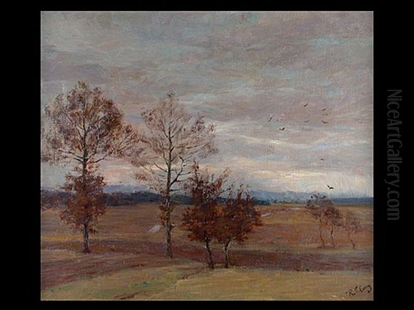 Das Murnauer Moos - view 1