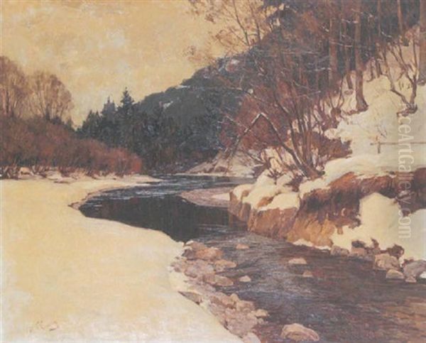 Flusslauf Im Verschneiten Waldtal - view 1