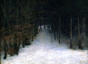 Radjur Pa Skogsvag, Vinter Radjur Pa Skogsvag, Vinter