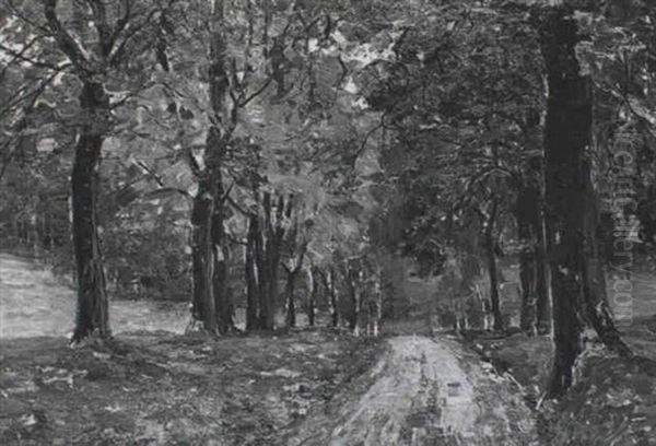 Herbstliche Allee - view 1