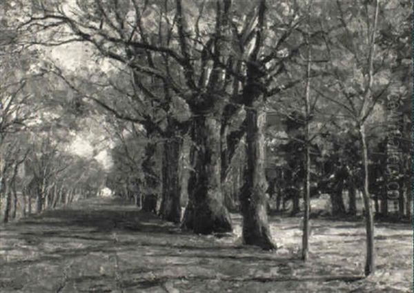 Blick In Eine Allee - view 1