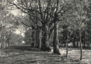 Blick In Eine Allee by Robert Franz Curry