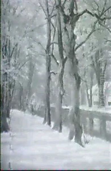 Gartenweg Unter Hohen Baumen Im Winter - view 1