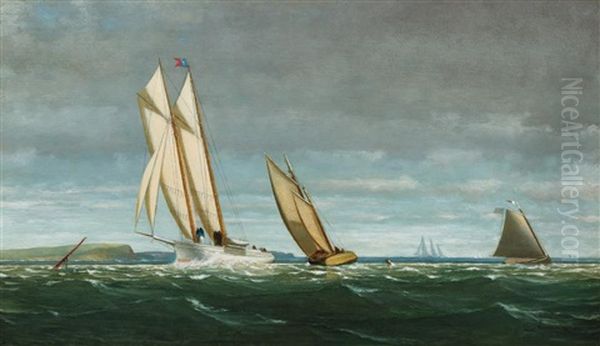 Sailing Off The Coast - view 1