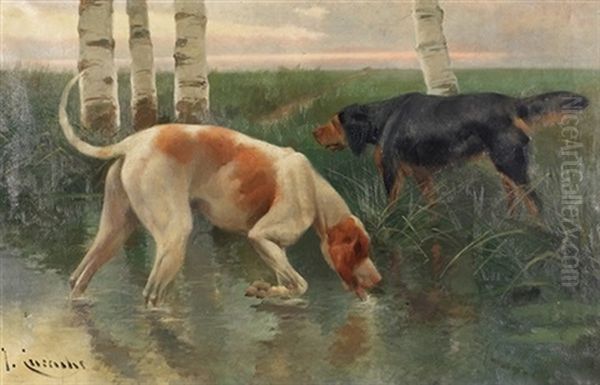 Perros De Caza - view 1