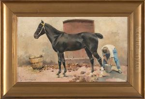 Caballo Con Su Cuidador Caballo Con Su Cuidador