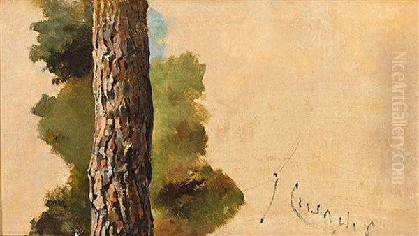Arbol (estudio) - view 1