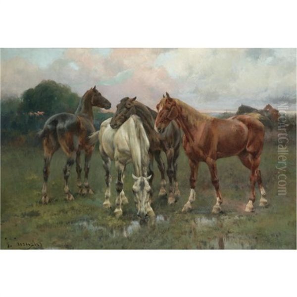 Caballos (horses) - view 1