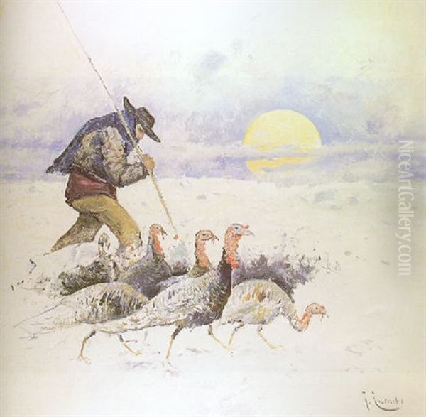 Pavos - view 1