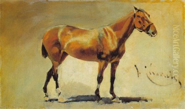 Caballo - view 1