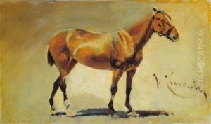 Caballo Caballo