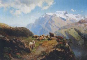 Schafer Mit Seiner Herde Auf Einer Hochalm