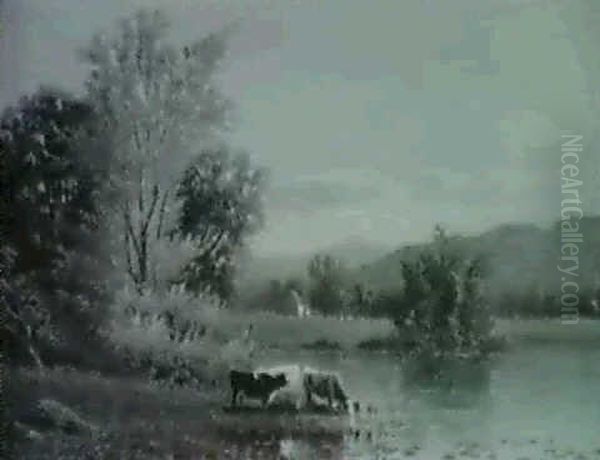 White Mountains Landscape - view 1