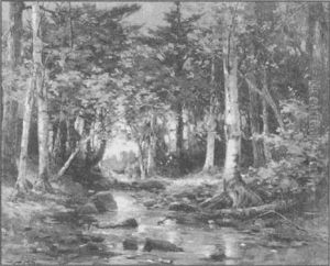 A Woodland Stream by William Malcolm Cutts