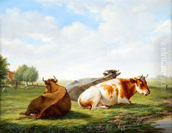Grazing Cows In A Meadow - view 1