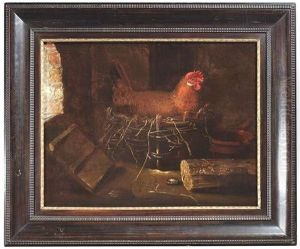 Brutendes Huhn Im Korb