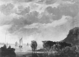Anglers In A Boat And Cattle Watering Beside An Estuary