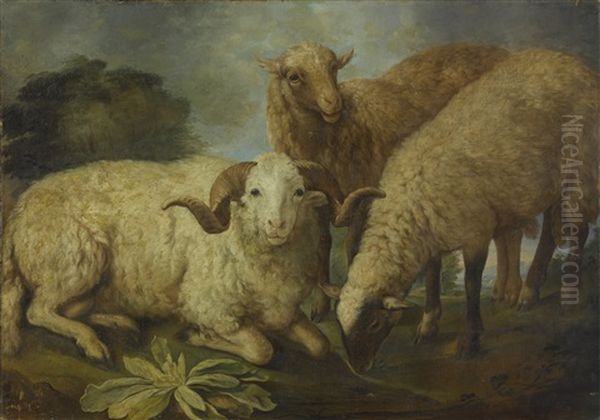 A Ram And Two Sheep Resting In A Landscape - view 1