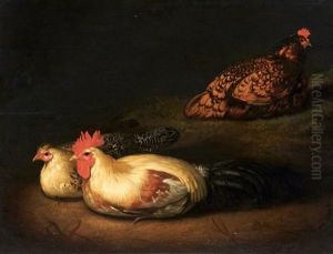 Les Poules