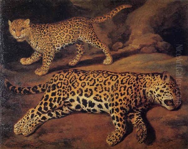 Two Jaguars - view 1