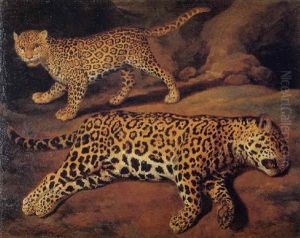 Two Jaguars by Jacob Gerritsz Cuyp