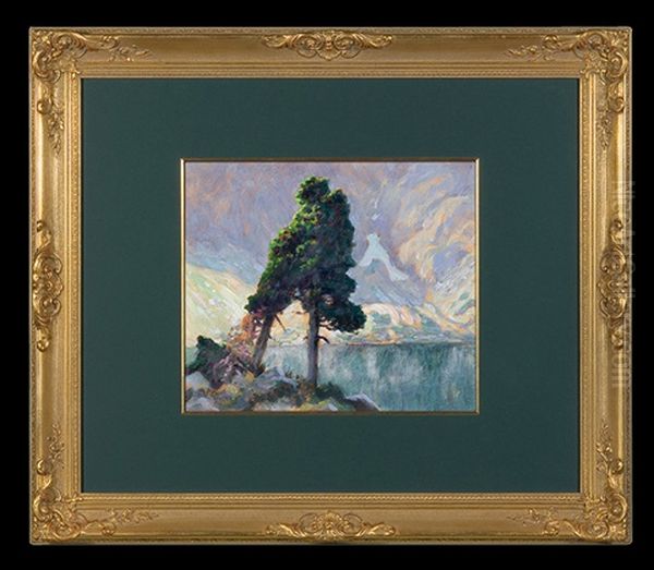 Trees Over Lake In Tatras - view 1