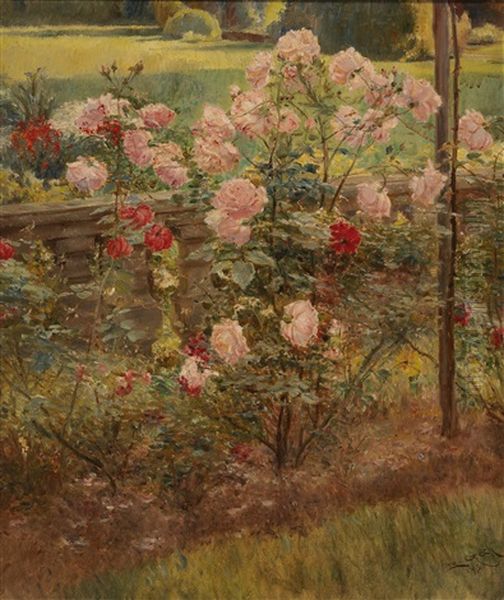 Roses - view 1
