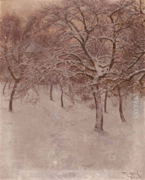 Obstgarten Im Winter - view 1
