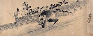 Cat Cat