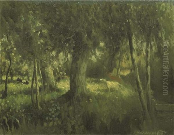 Cows Amongst Trees - view 1
