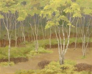Path In Woods by Theodore Scott Dabo