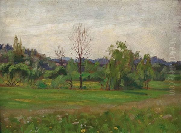 Landschaft - view 1